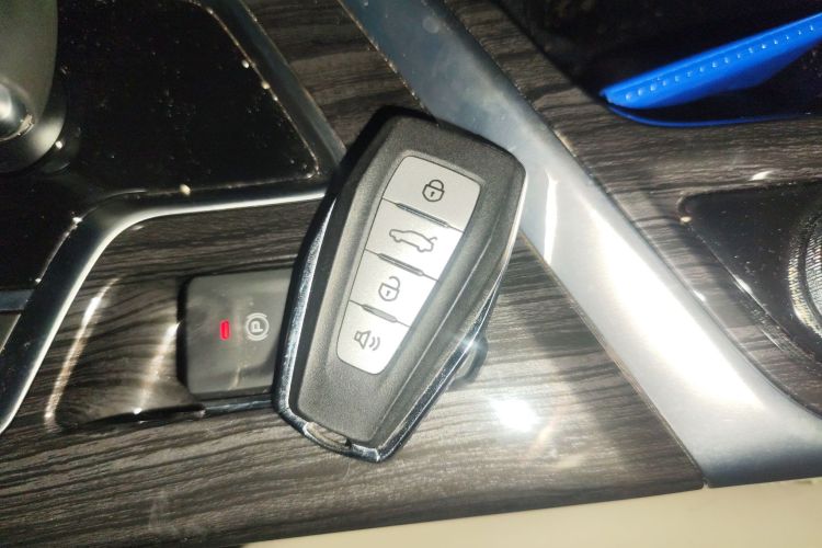 睿蓝汽车 枫叶80v PRO 2023 汽车图片 #10