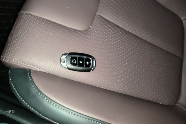 Hyundai Santa Fe 2019 car image #10