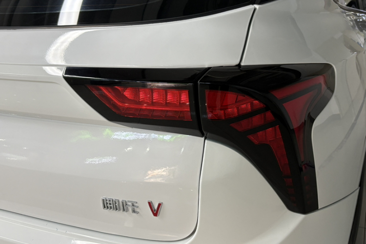 Neta V 2023 imagen de coche #10