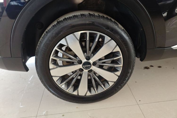 Haval F7x 2021 car image #10