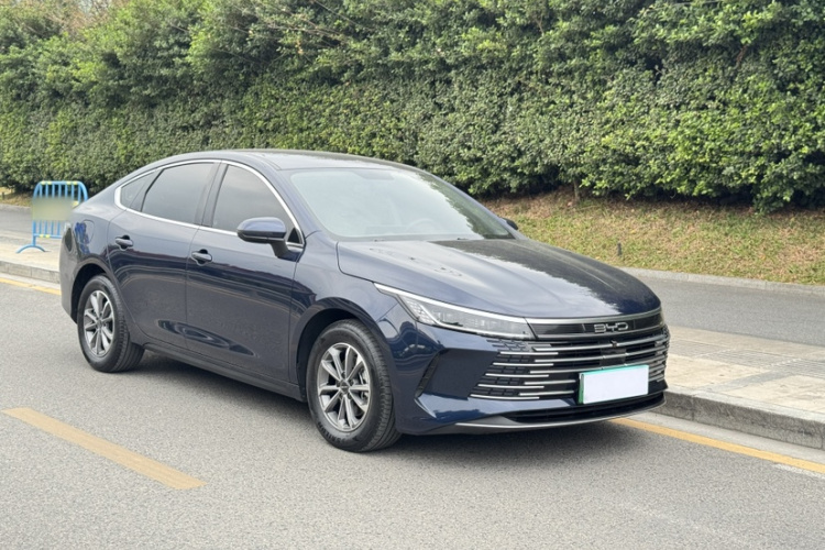 BYD Destroyer 05 2024 car image #10