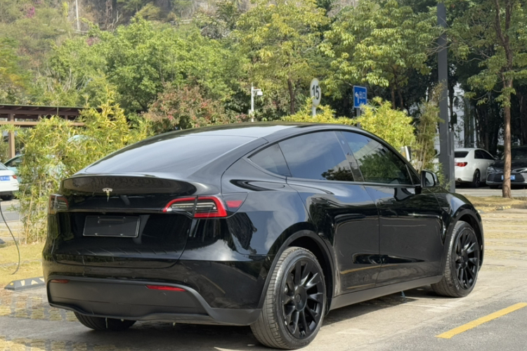 Tesla Model Y 2021 #10 Tesla Model Y 2021 car image #10