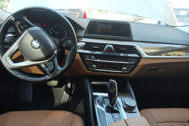 BMW 5 Series 2017 car image #10