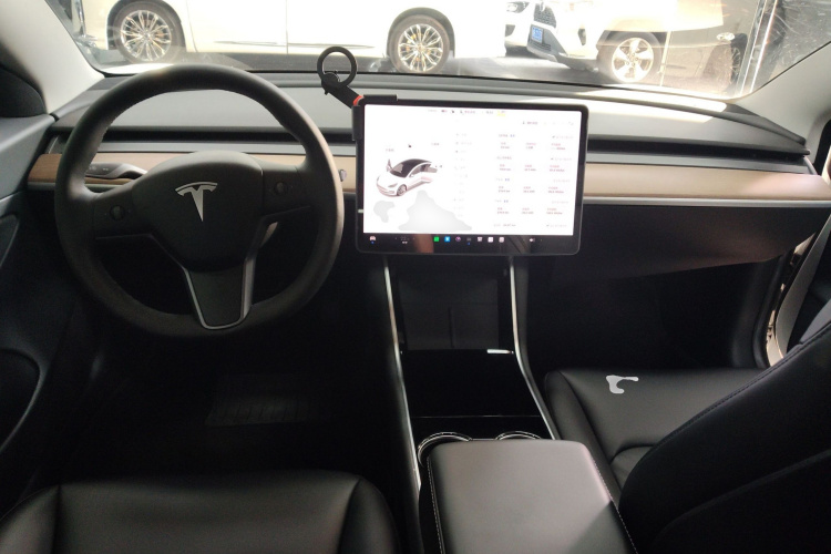 Tesla Model 3 2020 #10 Tesla Model 3 2020 صورة سيارة #10