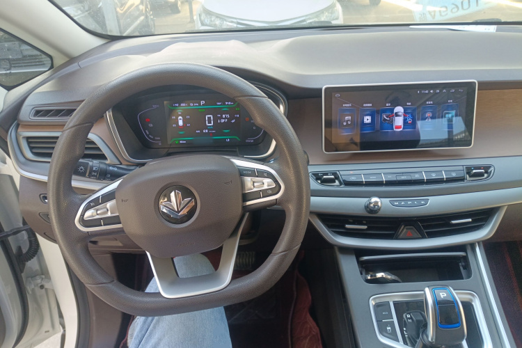 睿蓝汽车 枫叶80v 2021 汽车图片 #10