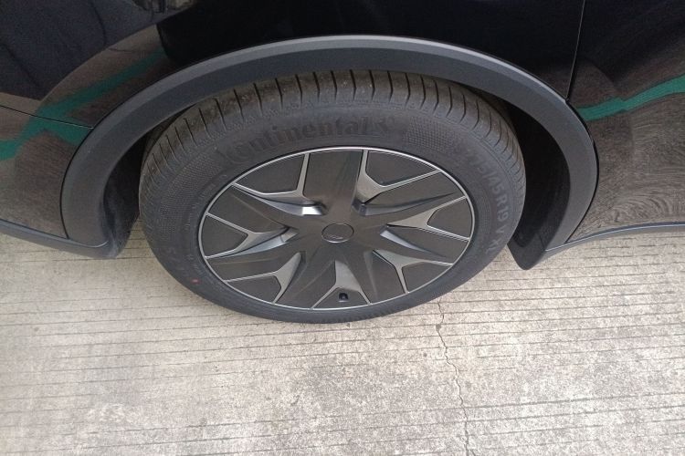 特斯拉 Model Y L 2025 汽车图片 #10