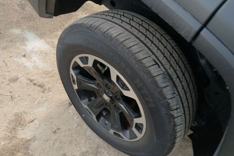 Tank 300 New Energy 2025 car image #10