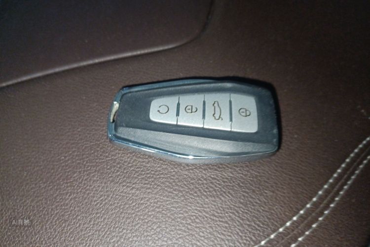 GEELY JiaJi New Energy 2019 car image #10