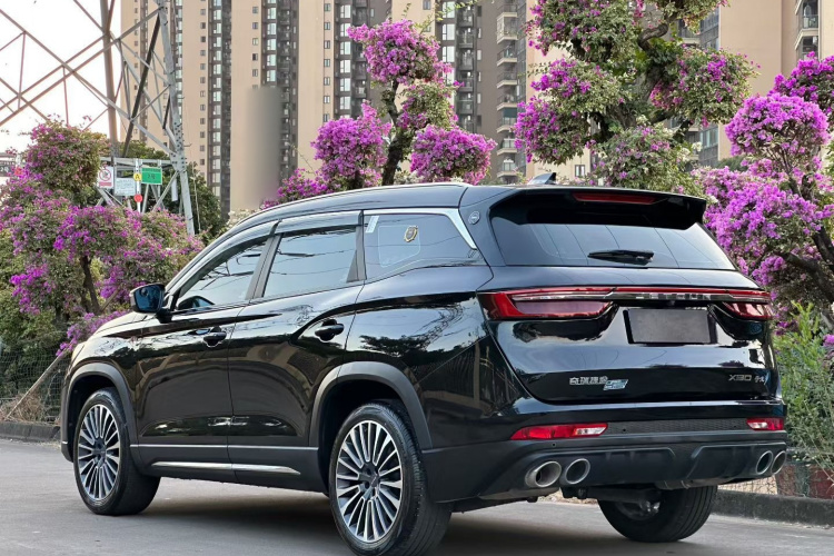 Jetour X90 2023 car image #10