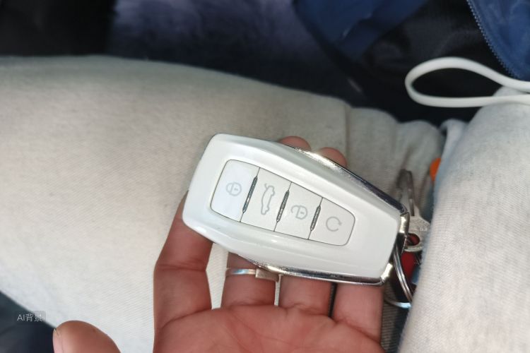 GEELY JiaJi 2021 immagine di auto #10