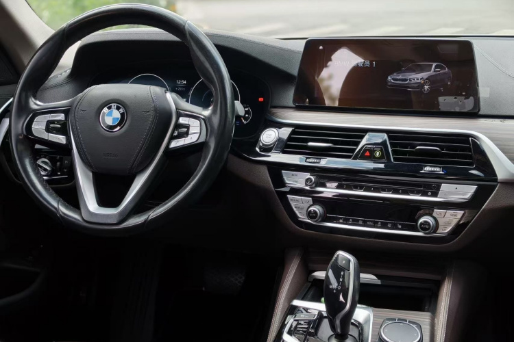 BMW 5 Series New Energy 2019 car image #10