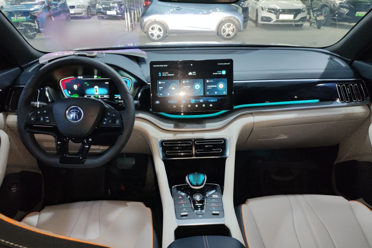 BYD Song Plus New Energy 2021 immagine di auto #10