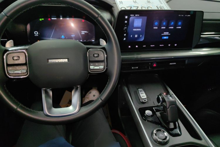 Haval Dargo 2023 car image #10