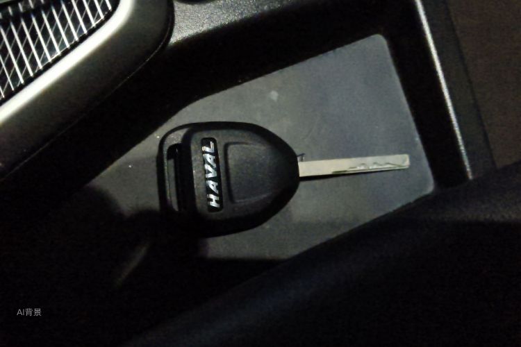 Haval Rabbit 2022 #10 Haval Rabbit 2022 صورة سيارة #10