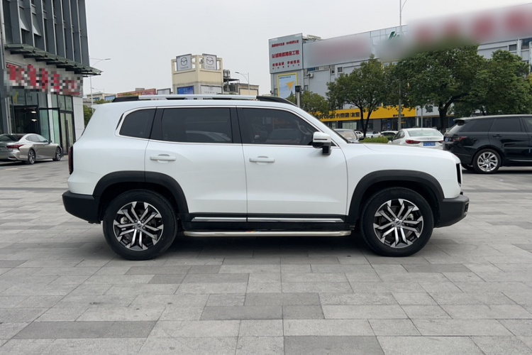 Great Wall X Dog / Dargo 2022 car image #10
