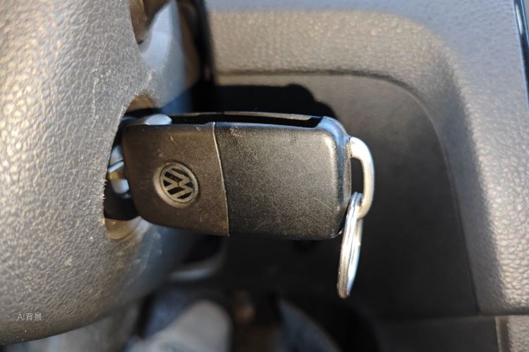 桑塔纳 2020 汽车图片 #10