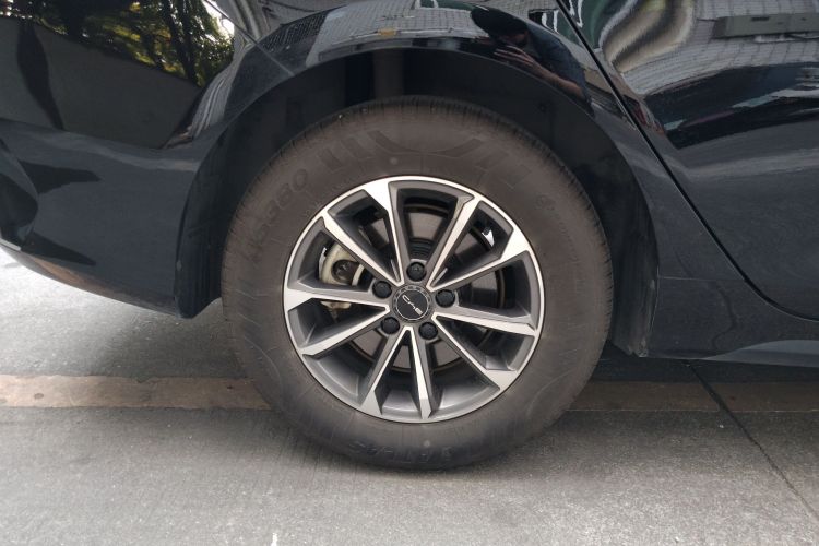 BYD Destroyer 05 2024 car image #10