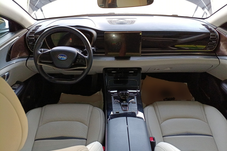 BYD e9 2021 car image #10