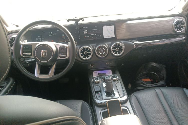 Tank 300 2021 car image #10