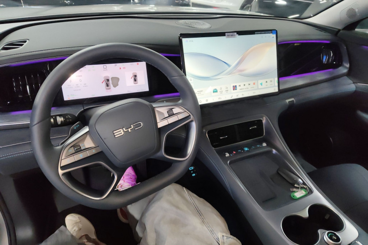 BYD Sea Lion 07 DM-i 2025 car image #10