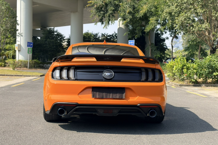 Ford Mustang 2022 #10 Ford Mustang 2022 car image #10