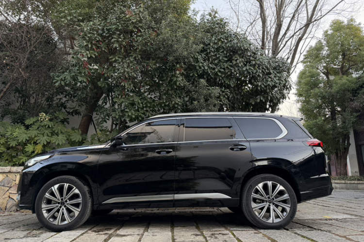 Exceed Lanyue 2024 صورة سيارة #10