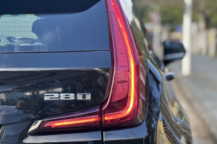 2020 car image #10