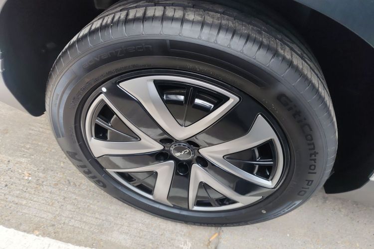 BYD Sea Lion 07 DM-i 2025 car image #10