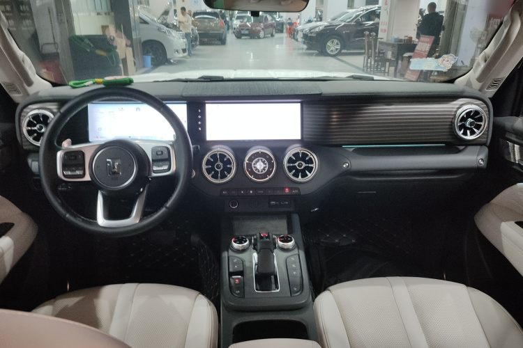 Tank 300 New Energy 2024 car image #10