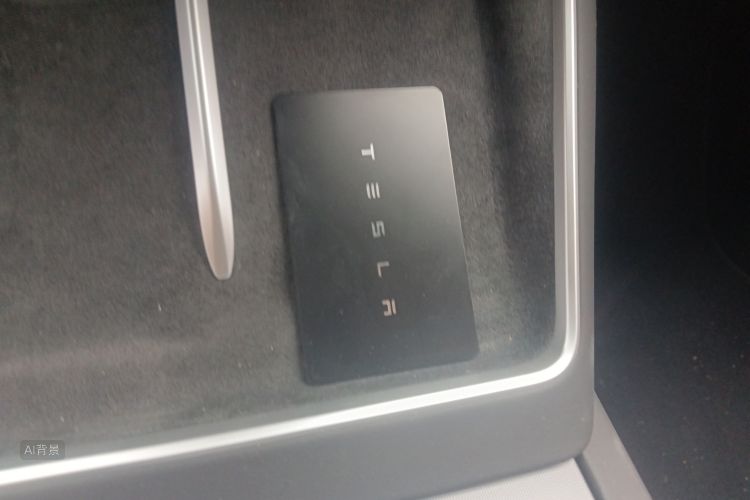 特斯拉 Model Y L 2025 汽车图片 #10