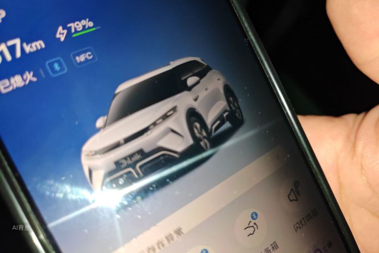 BYD YuanUP 2024 car image #10