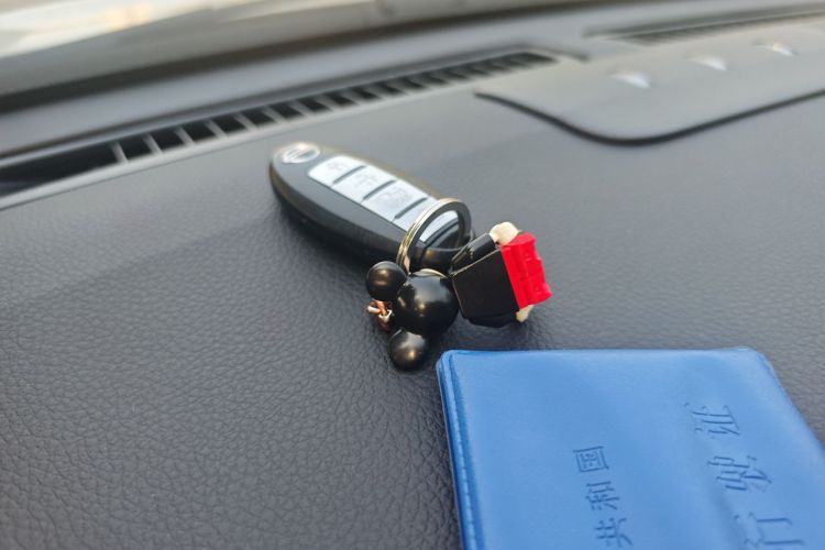 日产 轩逸·纯电 2019 汽车图片 #10