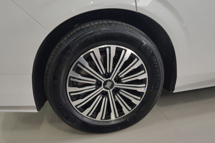 BYD Xia 2024 car image #10