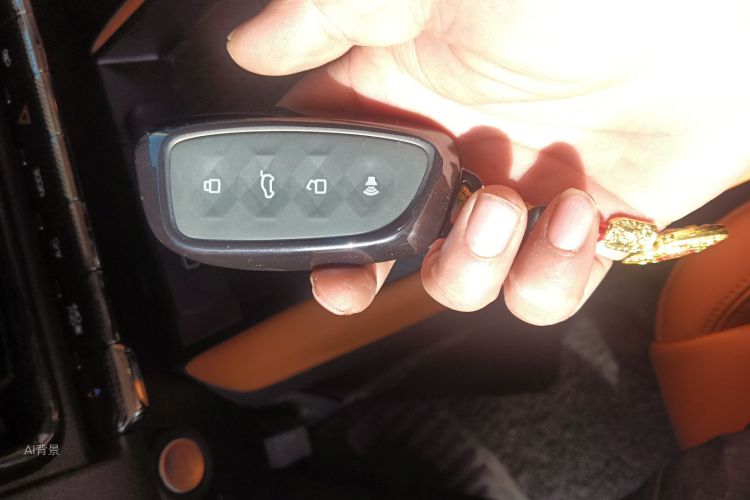 Haval Raptor New Energy 2023 car image #10