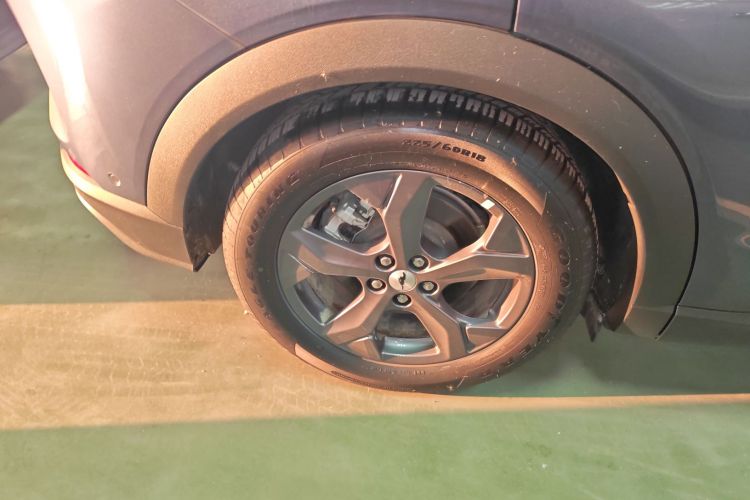 Ford Mustang Mach-E 2023 car image #10