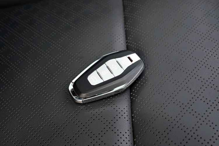 大蚂蚁 2021 汽车图片 #10