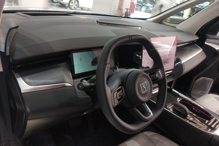 Zeekr 009 2025 car image #10