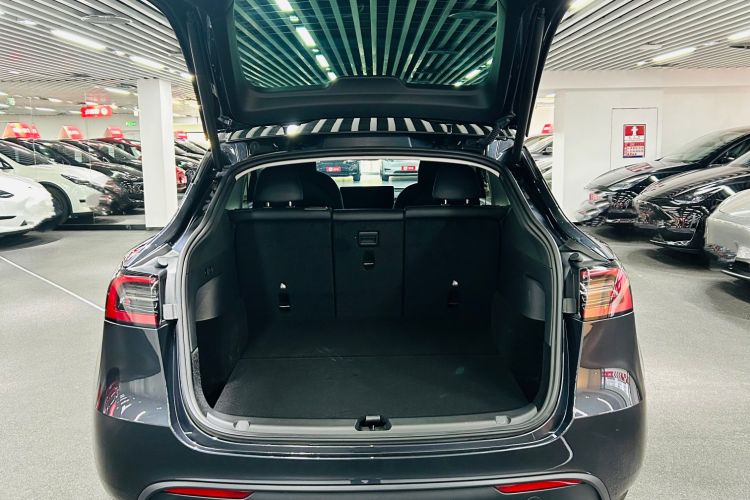 Tesla Model Y 2024 car image #10