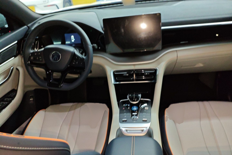 BYD Song Plus New Energy 2022 car image #10