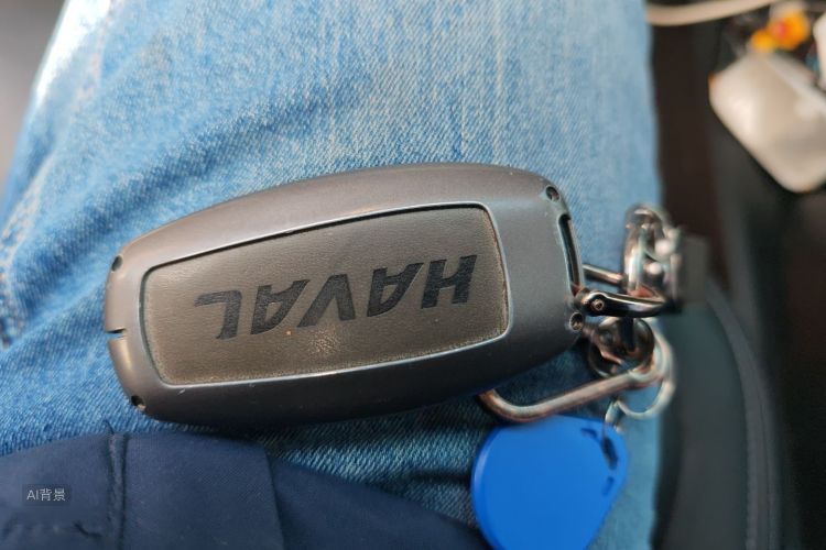 Haval F7 2020 #10 Haval F7 2020 immagine di auto #10