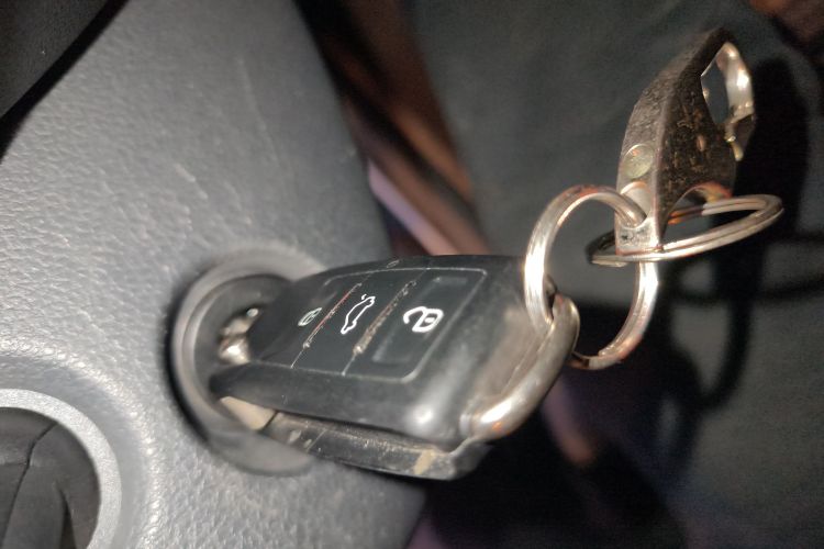 桑塔纳 2019 汽车图片 #10