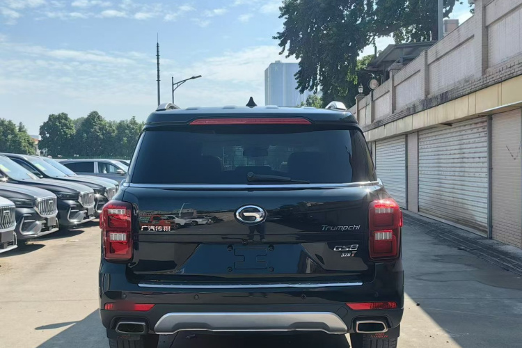 GAC Trumpchi GS8 2017 car image #10