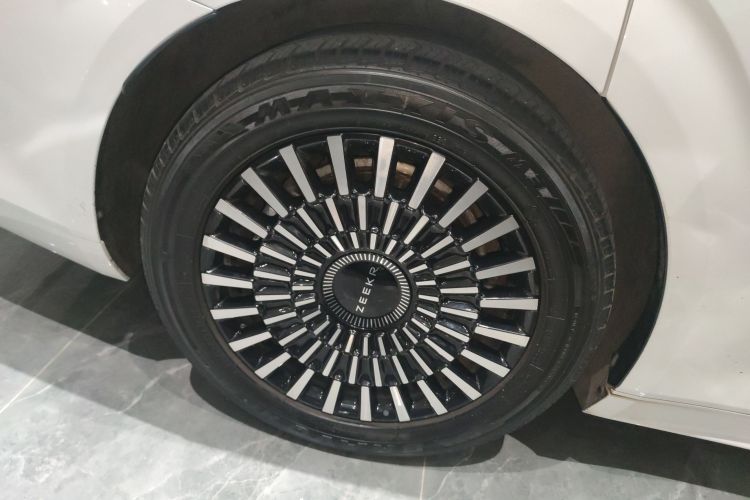 极氪 极氪009 2023 汽车图片 #10