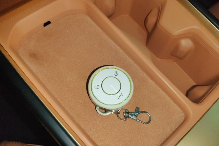 哪吒汽车 哪吒X 2024 汽车图片 #10