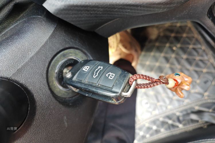 Tiggo 3x 2020 car image #10