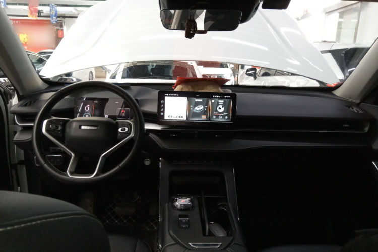Haval H6 2022 car image #10