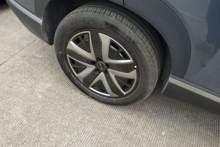 BYD Sea Lion 07 DM-i 2025 car image #10