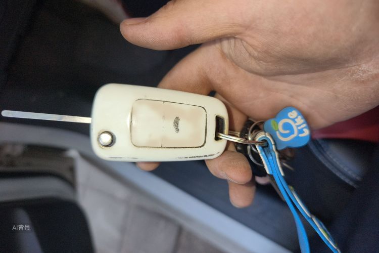 Chevrolet Sail 2016 car image #10