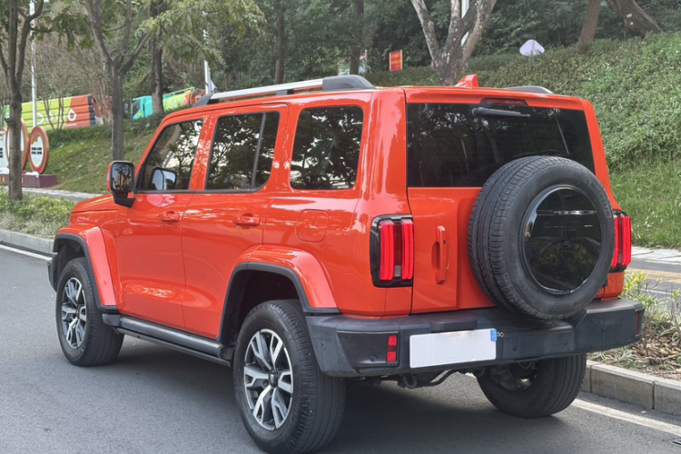 Tank 300 2022 car image #10