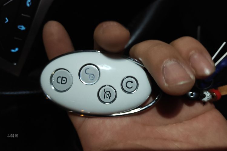 BYD 2019 car image #10